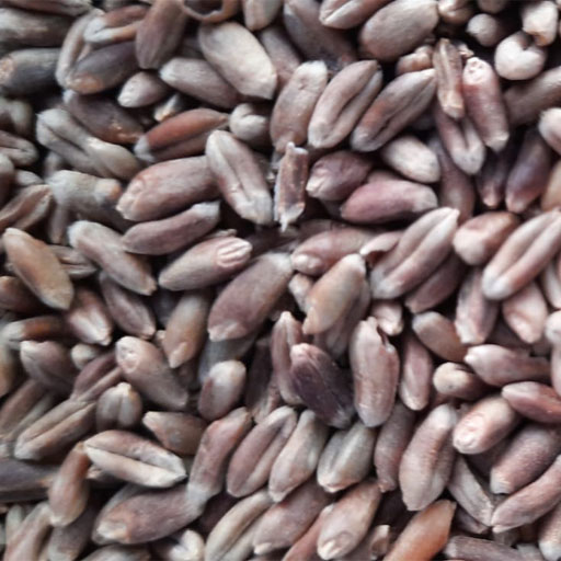 Black Wheat Aata